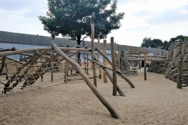 Vogelpark Avifauna review met kinderen; van speeltuin tot boottocht - Mamaliefde