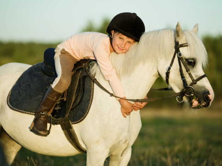 Pony vakantie; vakantiepark met paard bij het huisje of op de boerderij