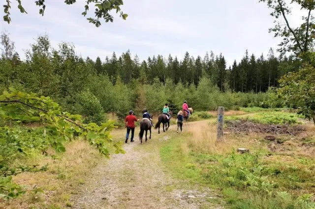 Getnö Gård; Lake åsnen Resort camping Zweden review met kinderen - Mamaliefde