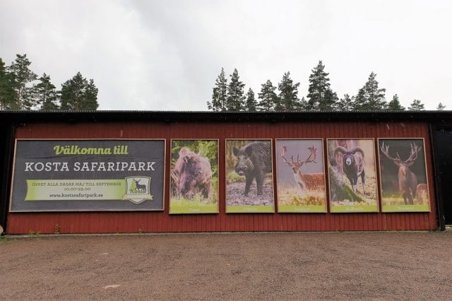Safari park Kosta Zweden & Lodge - Reisliefde