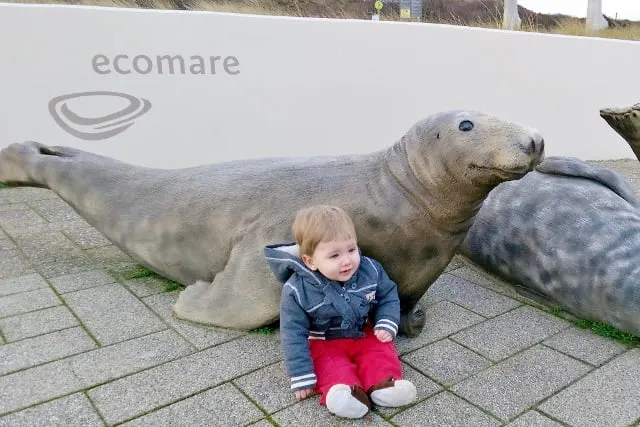 Ecomare Texel; zeehondenopvang & tentoonstelling - Mamaliefde