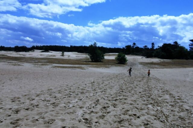 Kootwijkerzand; Wandelen, uitkijktoren en picknicken met kinderen op zandvlakte - Reisliefde