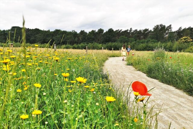 Recreatiepark Terspegelt in het Brabantse land - Mamaliefde