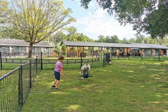 Familiepark Nienoord review met kinderen; landgoed met zwemkasteel, zwembad en speeltuin - Mamaliefde
