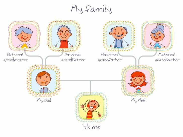 Stamboom maken; hoe maak je een familie stamboom & voorbeeld tekenen
