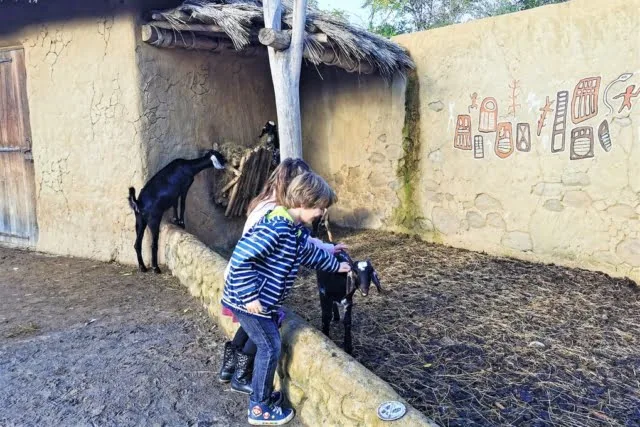 Wildlands dierentuin Emmen bezoeken met kinderen - Mamaliefde