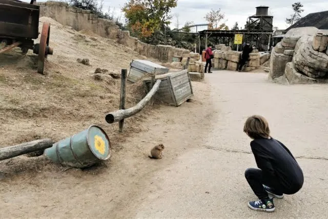 Wildlands dierentuin Emmen bezoeken met kinderen - Mamaliefde