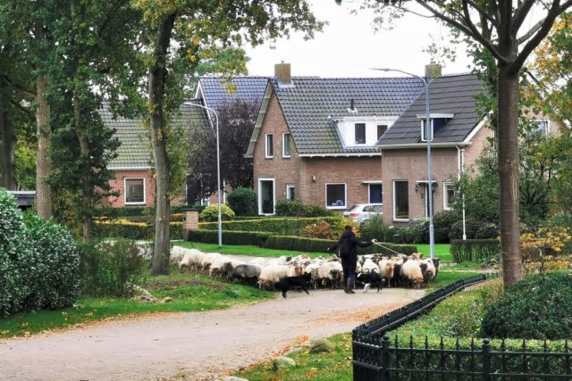 Hondsrugroute Drenthe; met de auto langs de hunebedden - Reisliefde