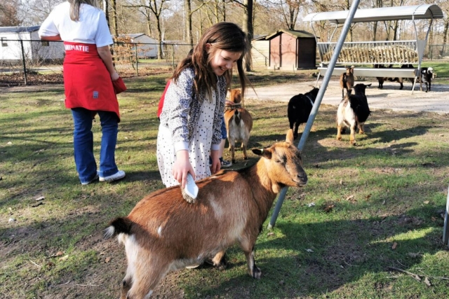 Vakantiepark Dierenbos; overnachten tussen de boerderijdieren met kinderen - Mamaliefde