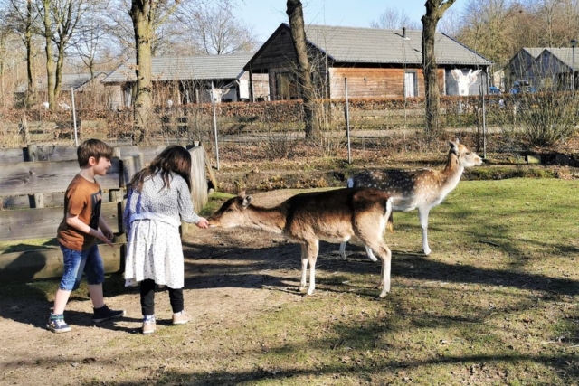 Vakantiepark Dierenbos; overnachten tussen de boerderijdieren met kinderen - Mamaliefde
