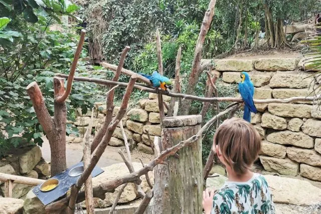 Mondo Verde met kinderen; een wereldreis in 1 dag met tuinen, attracties en dierenpark - Mamaliefde