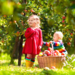 September; 30 bucket list activiteiten voor kinderen - Mamaliefde.nl