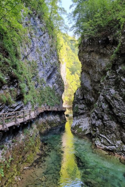 Vintgar kloof Slovenië; Wandelroute & watervallen - Reisliefde