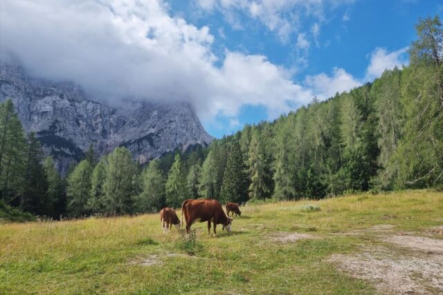 Triglavski Nationaal Park Slovenië; autoroute en bezienswaardigheden - Reisliefde