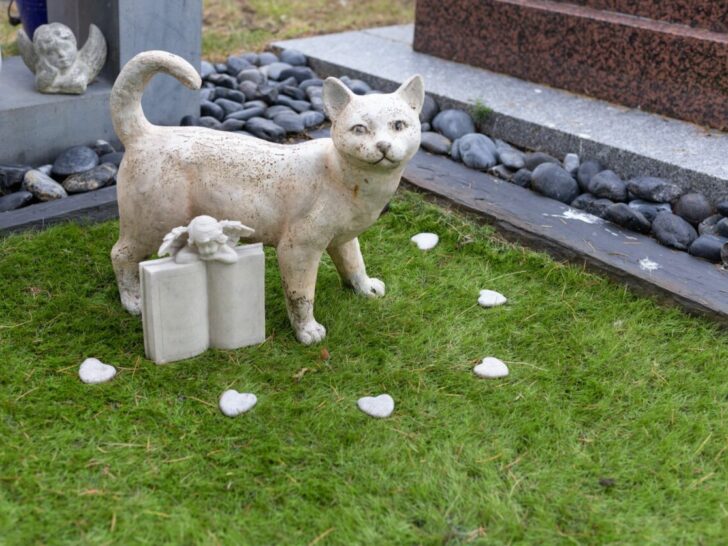 Huisdier kind overleden; hond of kat begraven in tuin