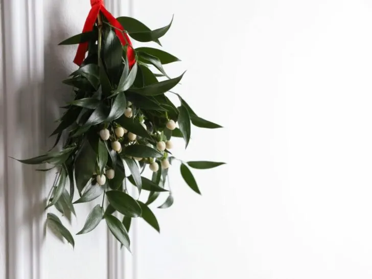 Mistletoe (maretak); Wat is de betekenis rondom kerst en waar kan je het kopen? - Mamaliefde.nl