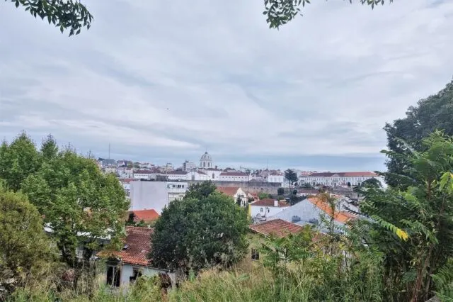 Noord-Portugal; uitjes en bezienswaardigheden in de omgeving van Porto - Mamaliefde