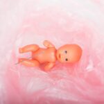 Baby placenta; wat is het? - Mamaliefde.nl