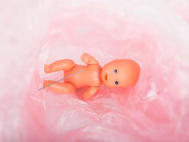 Baby placenta; wat is het? - Mamaliefde.nl