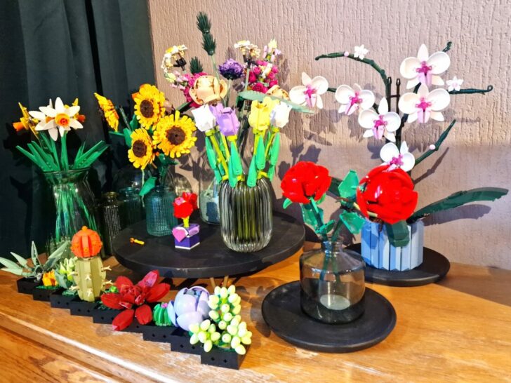 LEGO Botanical; 12 duurzame bloemen en planten