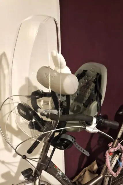 Thule Yepp 2 fietsstoeltje review - Mamaliefde.nl