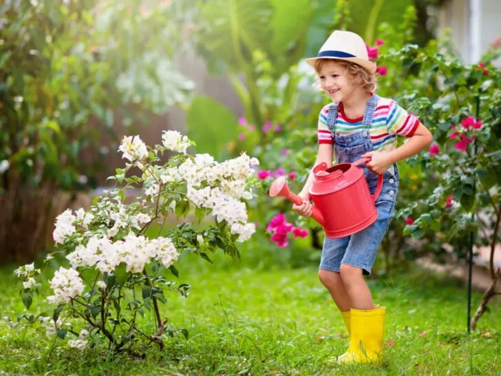 10 tips voor het kindvriendelijk inrichten van een kleine tuin - Mamaliefde.nl