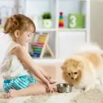 Hoe je ongewenst gedrag bij je hond kunt afleren - Mamaliefde.nl