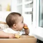 Wanneer en hoe beginnen met brood voor baby's? - Mamaliefde.nl