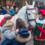 Het paard van Sinterklaas - Mamaliefde.nl