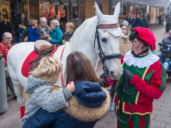 Het paard van Sinterklaas - Mamaliefde.nl