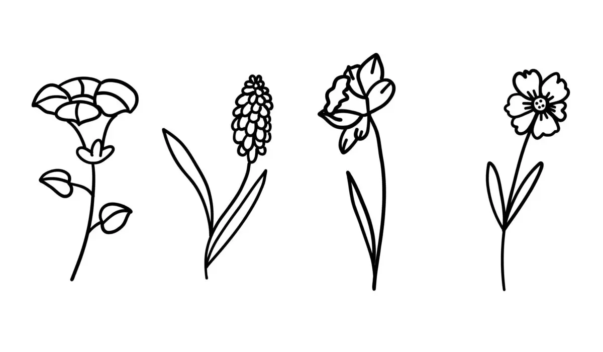 Bloemen tekenen en schilderen; 10 voorbeelden