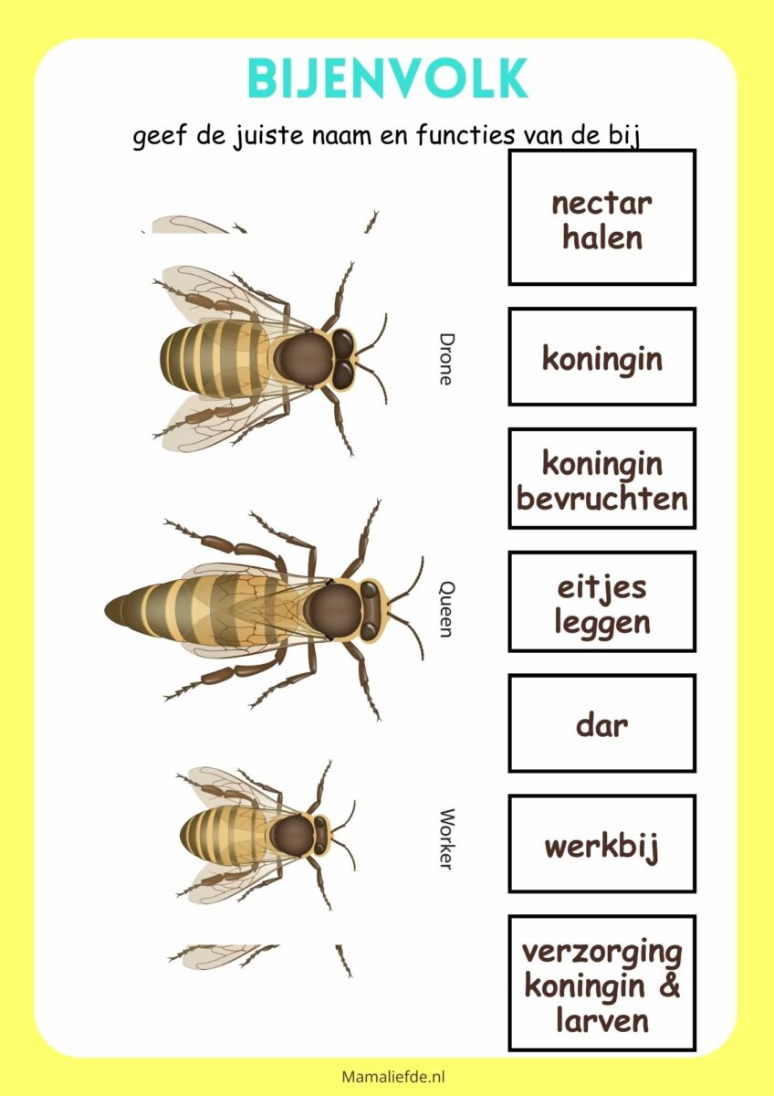 Thema bijen; 25 activiteiten en knutselen voor peuters en kleuters
